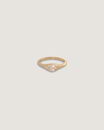 Anillo Grace