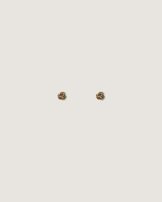 Aretes Noemi